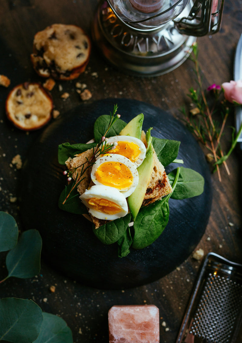 A Day in the Life of a Pasture-Raised NOURIQ Hen